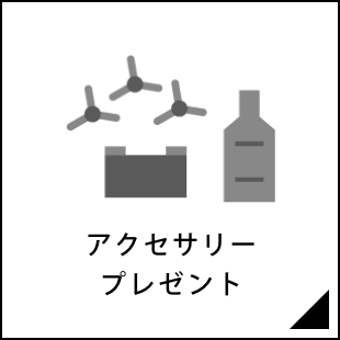 アクセサリープレゼント