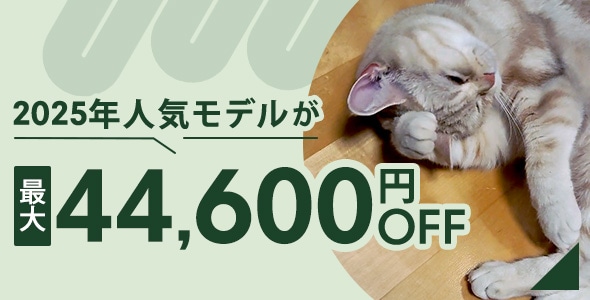 2025年発売モデルが最大44,600円OFF！