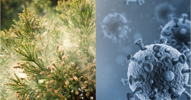 花粉、ウイルス、カビなどの汚染物質を99.98%除去